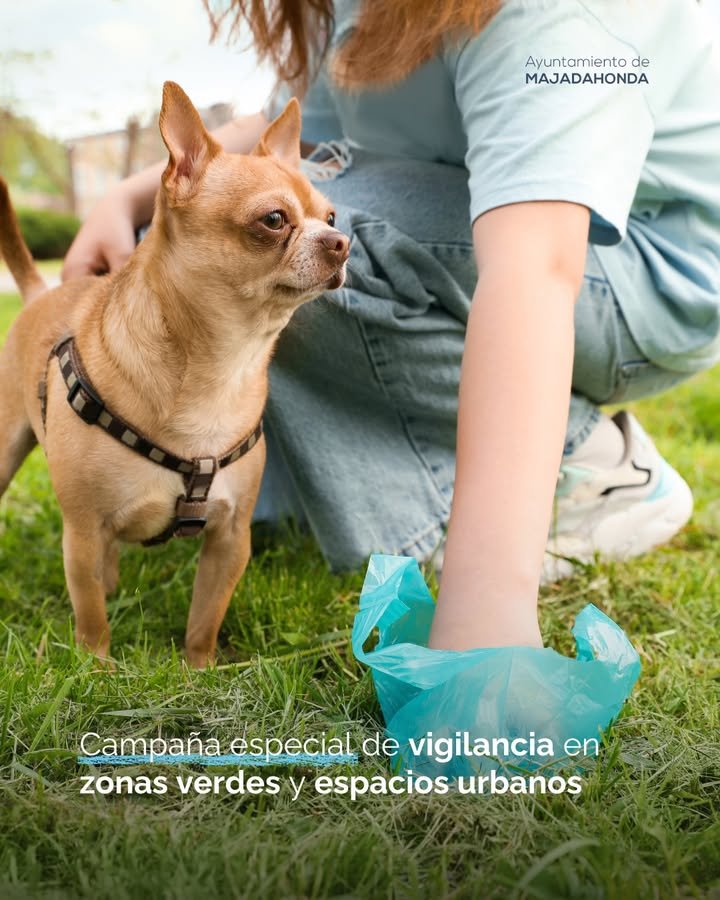 🐶🐾🚮Majadahonda intensifica control en parques y calles para promover comportamiento cívico de dueños de mascotas. Campaña municipal enfatiza responsabilidad ciudadana en cuidado de espacios públicos.