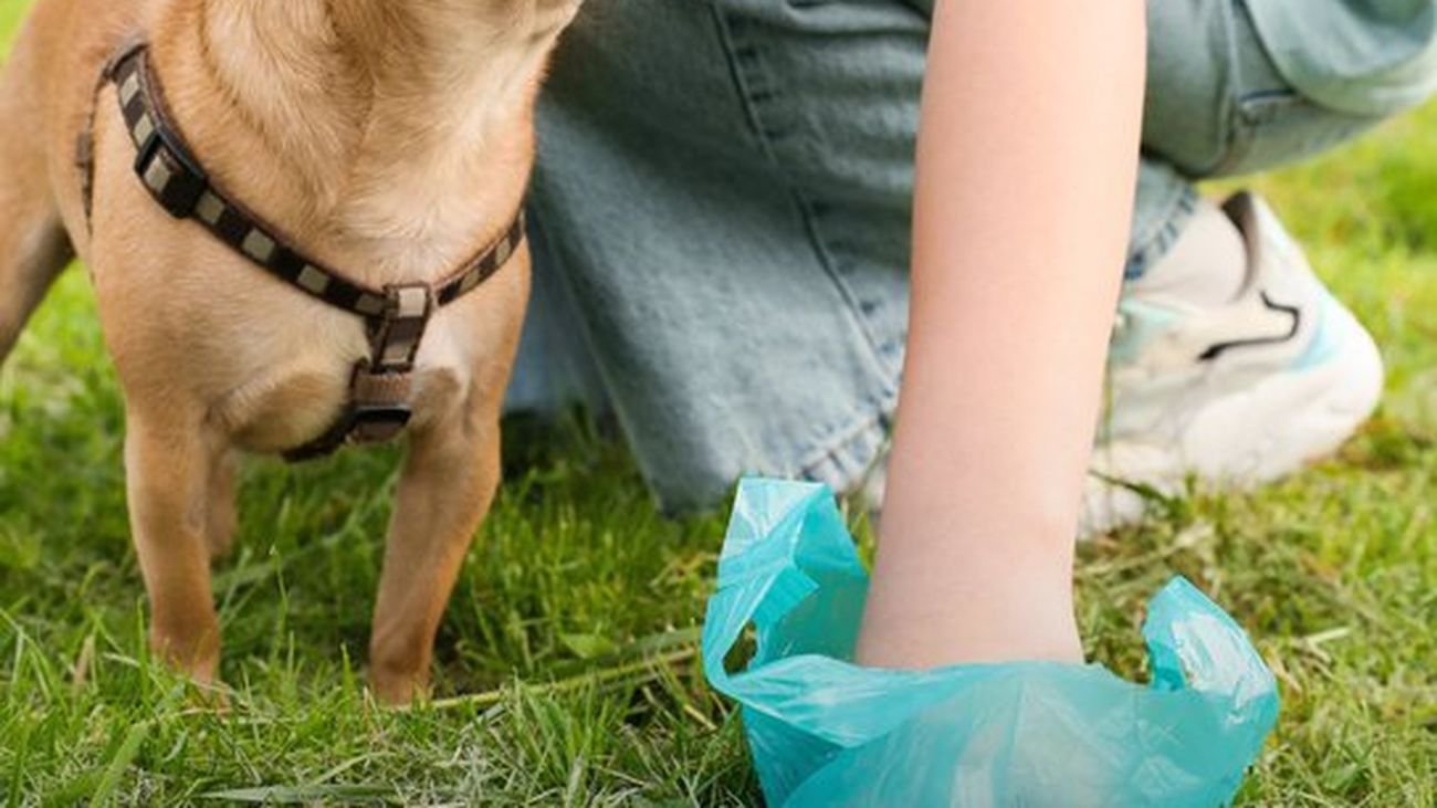 Majadahonda intensifica control sobre dueños de mascotas que no recogen heces