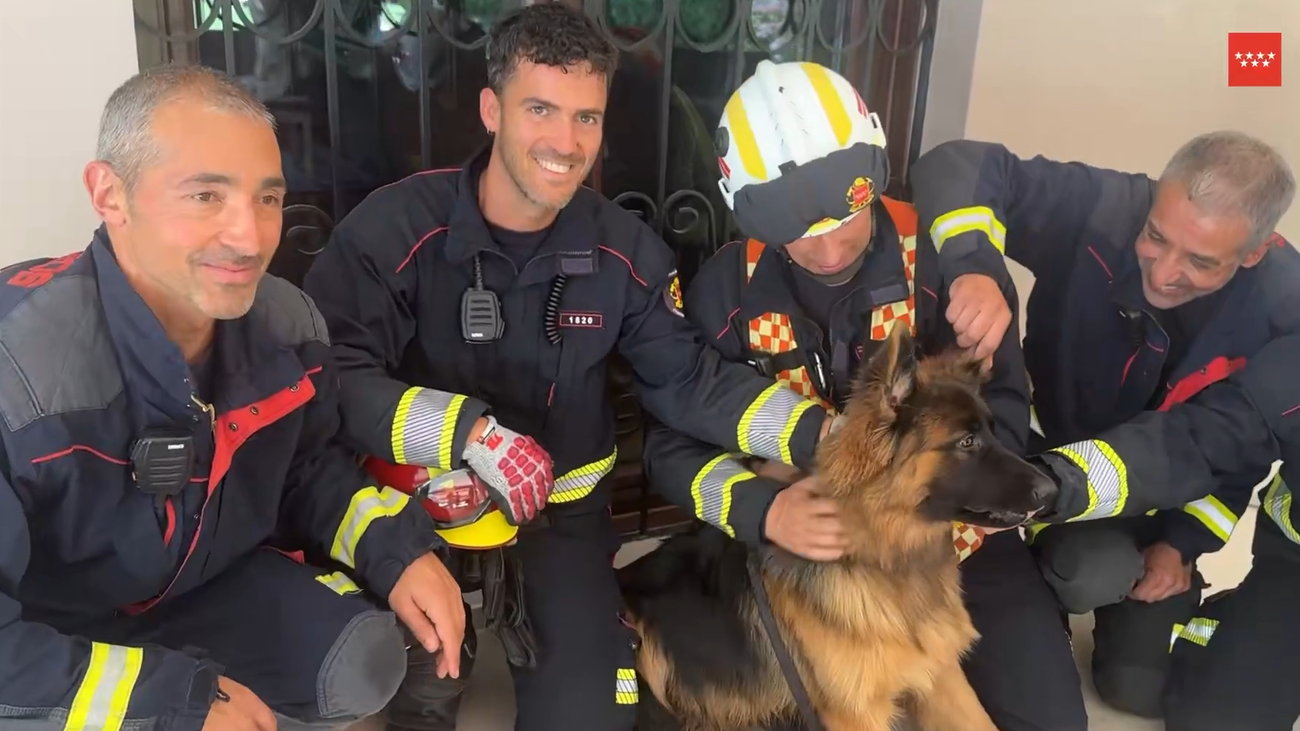 Bomberos rescatan a un cachorro de pastor alemán atrapado en un hogar de Majadahonda